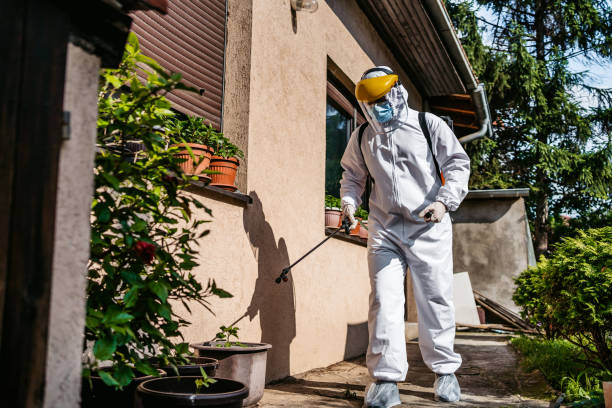 Best Ant Control Services  in Staunton, VA