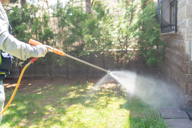 Best Termite Control Services  in Staunton, VA